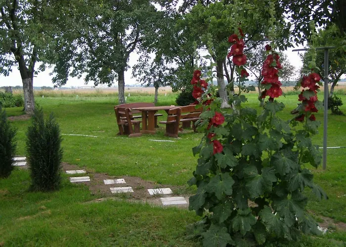 Ranczo U Stefana 农家乐