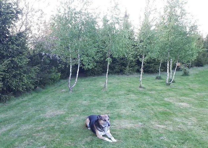 Ranczo U Stefana 农家乐 *