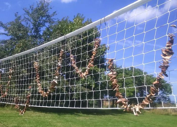 Ranczo U Stefana 农家乐